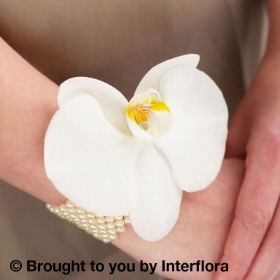 Pure White Orchid and Pearl Wrist Corsage