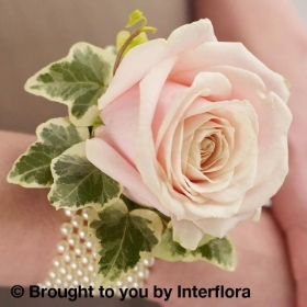 Soft Pink Rose and Pearl Wrist Corsage